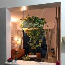 2BHK Service Apartments for Expats in Viman Nagar Pune