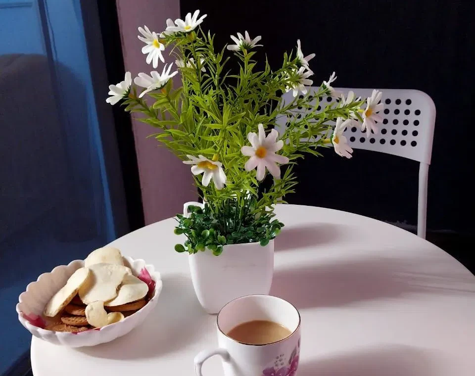 2BHK Service Apartments for Expats in Viman Nagar Pune