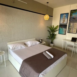 Furnished 3BHK Service Apartments for Expats in Balewadi (3)