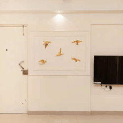 Exclusive 2BHK Service Apartments for Expats in Koregaon Park, Pune