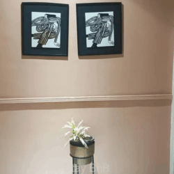 Standard 2BHK Service Apartments for Expats in Koregaon Park, Pune